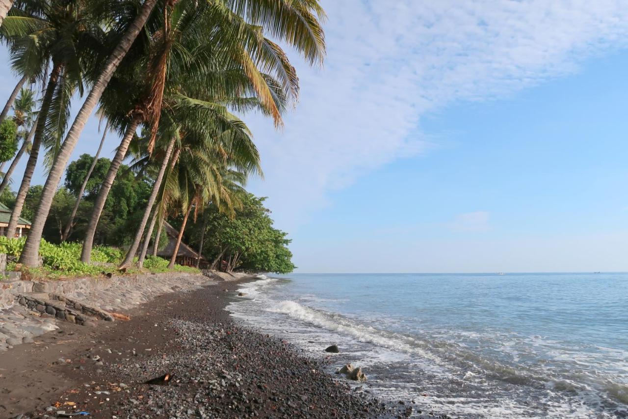 Villa Aditya Tejakula Exteriér fotografie