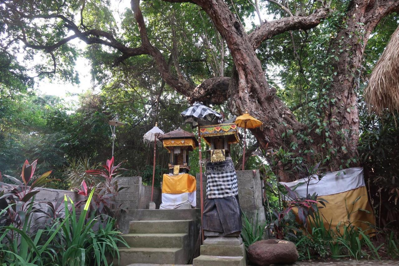 Villa Aditya Tejakula Exteriér fotografie