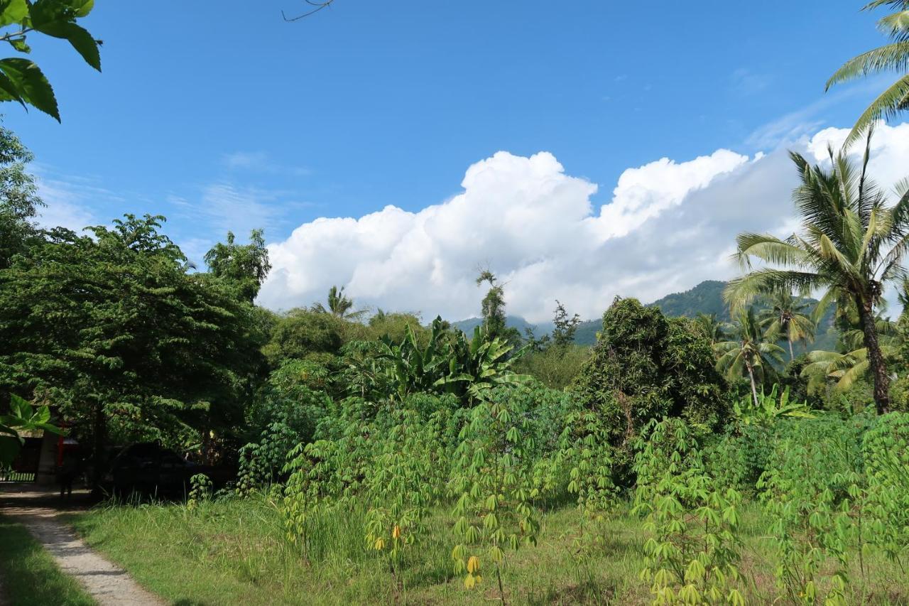 Villa Aditya Tejakula Exteriér fotografie