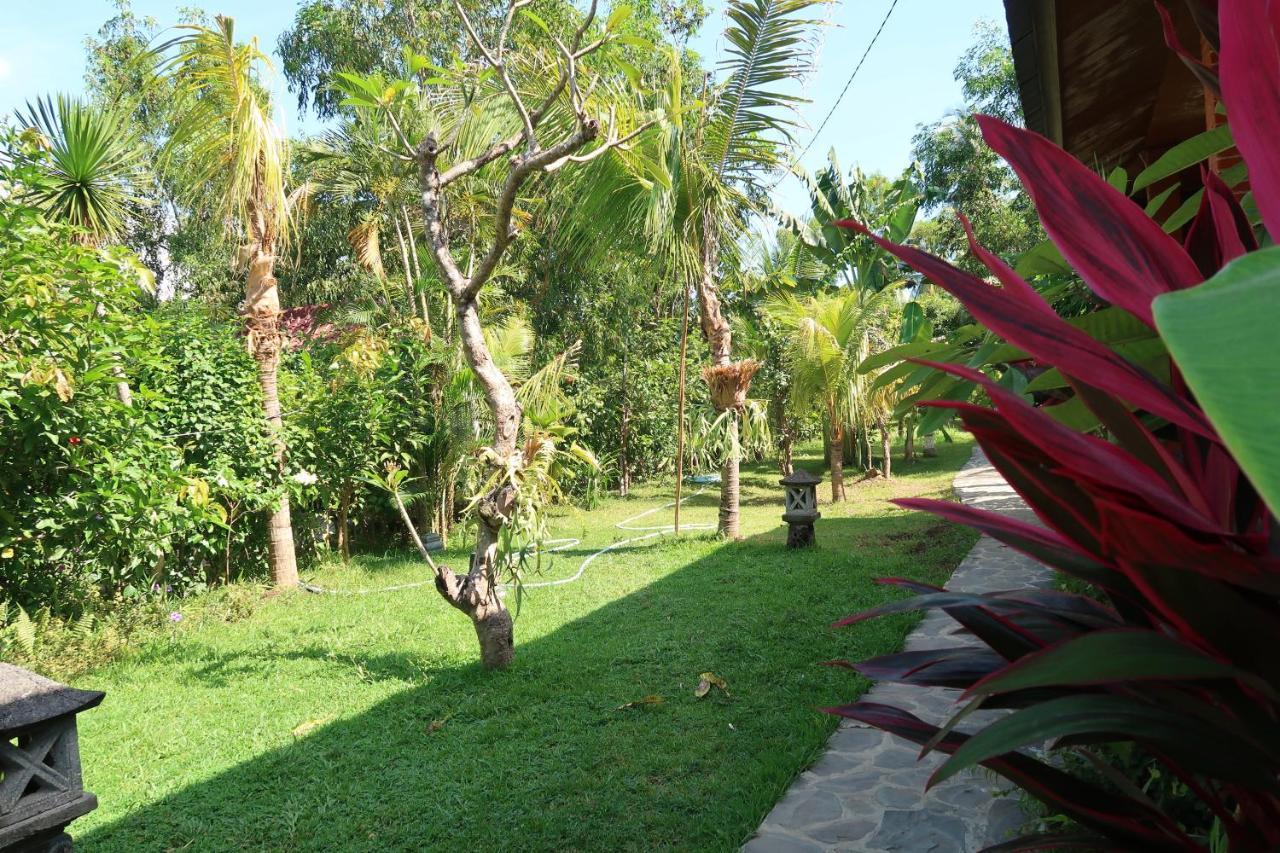 Villa Aditya Tejakula Exteriér fotografie