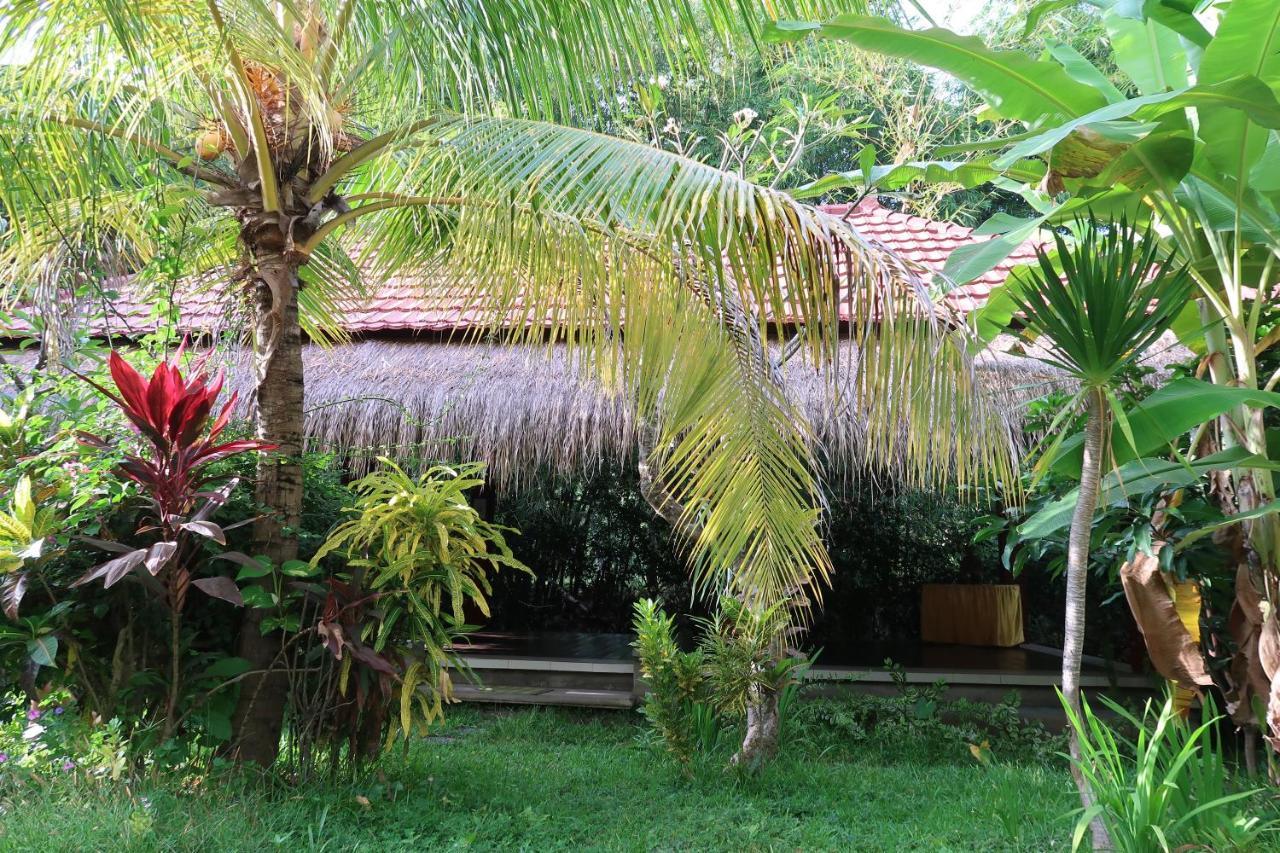 Villa Aditya Tejakula Exteriér fotografie