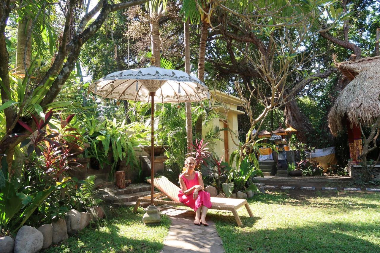 Villa Aditya Tejakula Exteriér fotografie