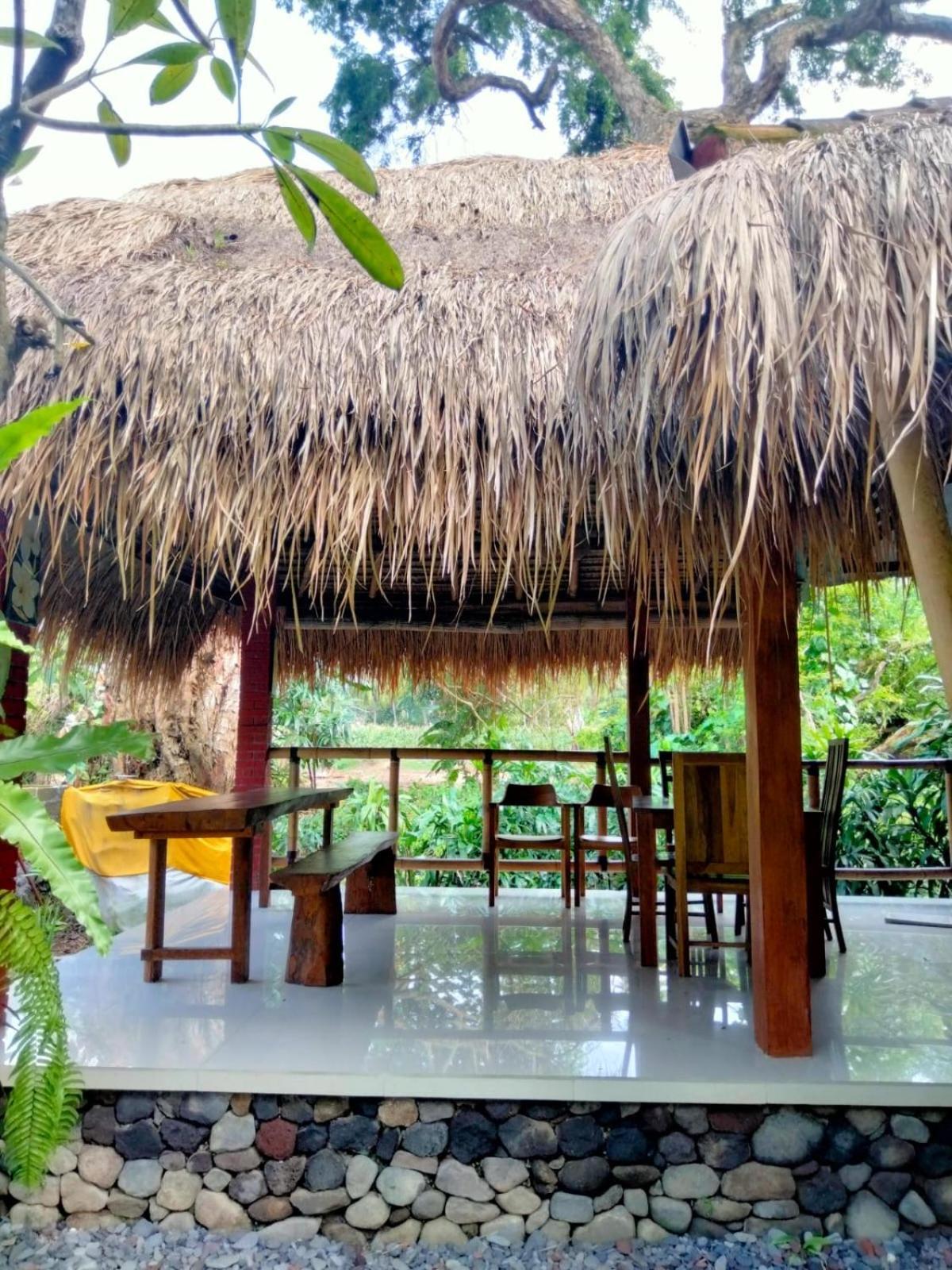 Villa Aditya Tejakula Exteriér fotografie