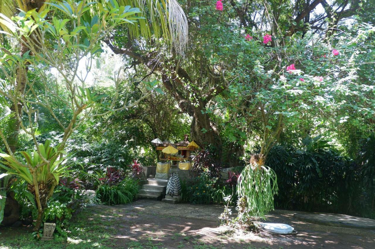 Villa Aditya Tejakula Exteriér fotografie